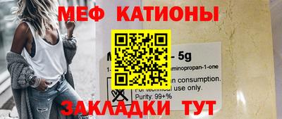 индика Кингисепп