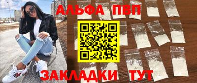 индика Кингисепп