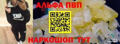 индика Кингисепп