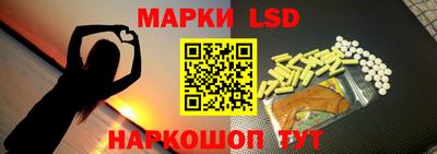 индика Кингисепп