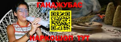 индика Кингисепп