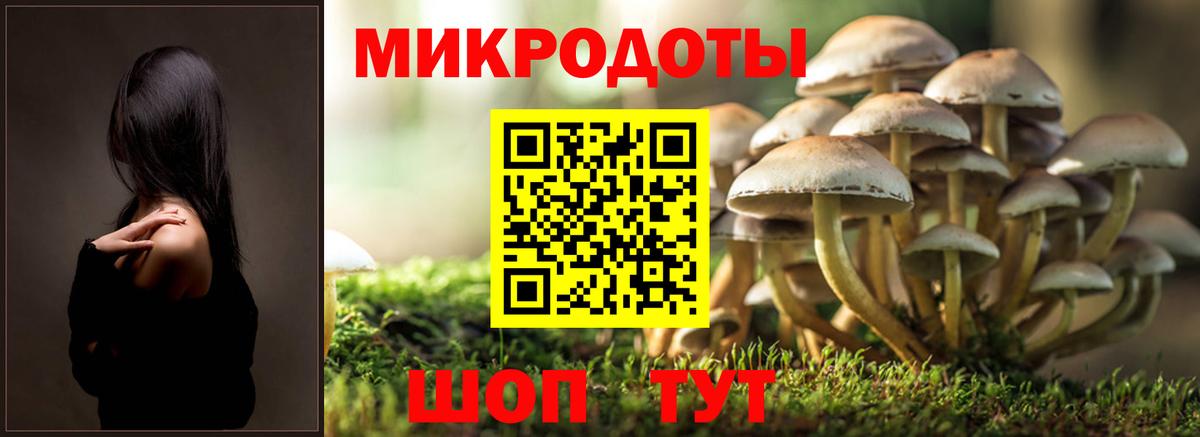Красноармейск  Псилоцибиновые грибы Psilocybine cubensis  закладка  Вход с VPN  Галлюциногенные грибы MAGIC MUSHROOMS 